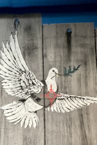 Photo 4 from Museo Banksy Madrid
